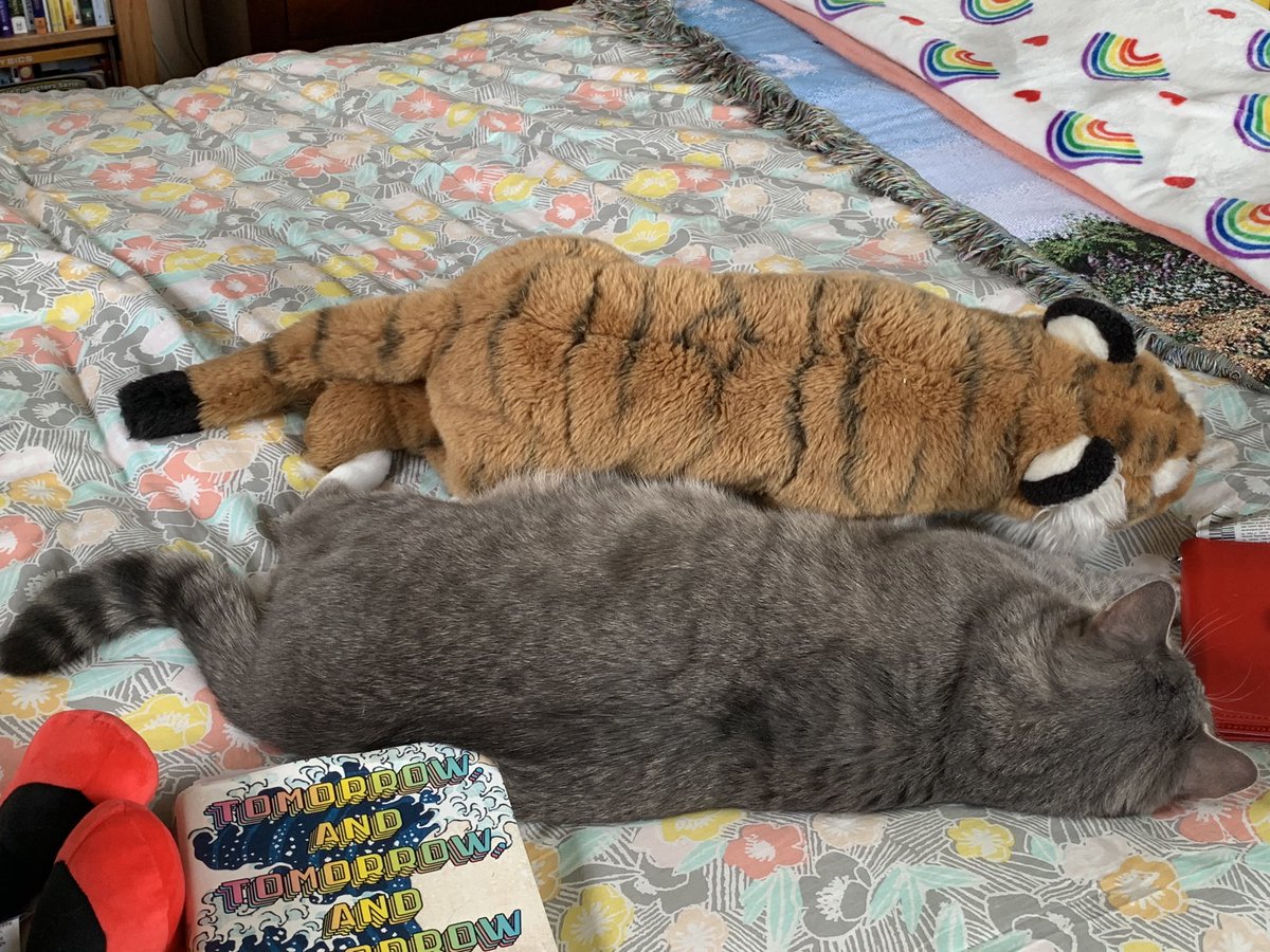 My cat Brady cuddling with the stuffed animal. I wish I had this picture to post when we were doing the book club! 🥰