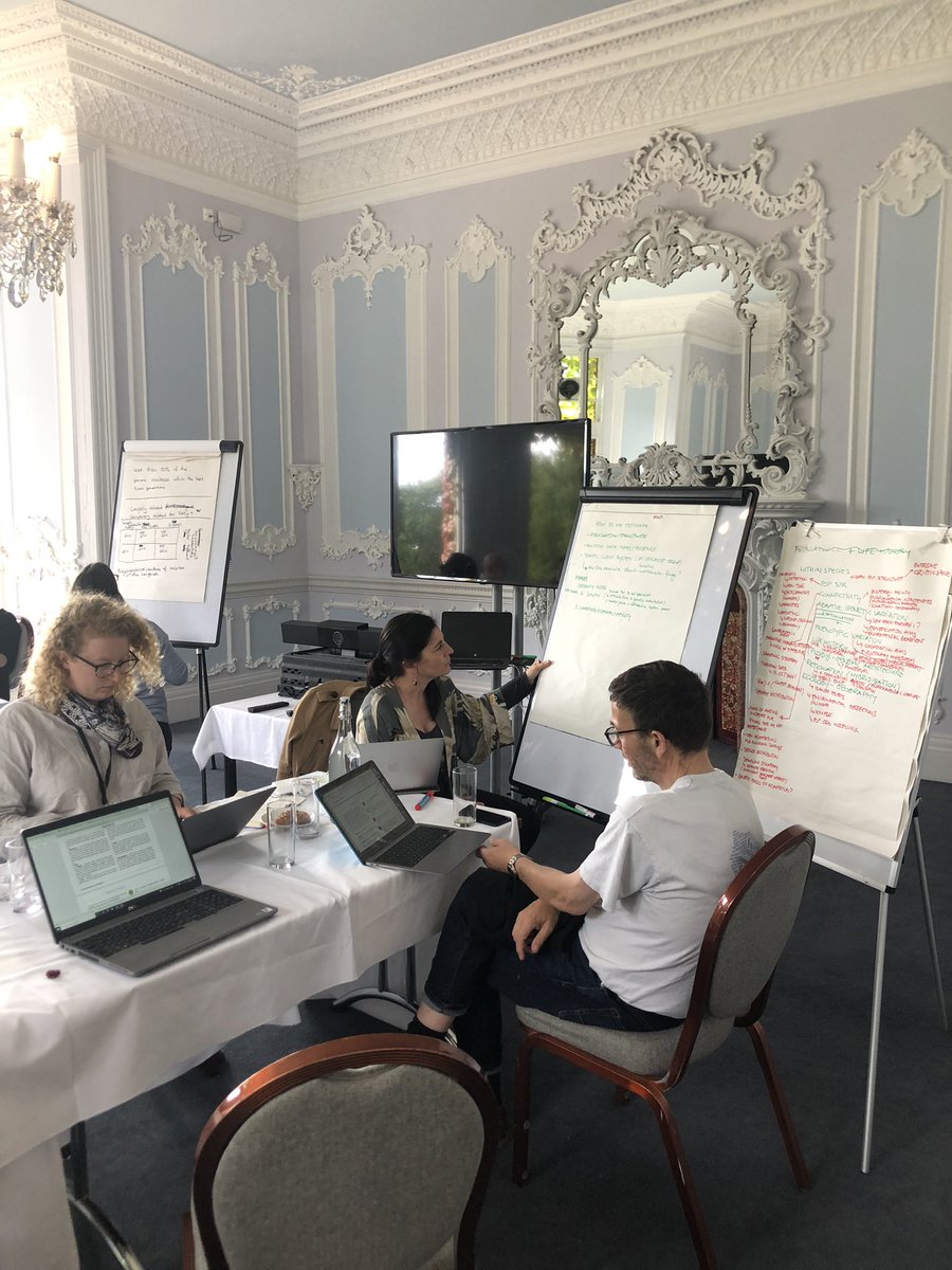 julia_geue's tweet photo. What an inspiring week about #genomics and the protection of  this part of #mothernature 🥰🌲🧬🐝🍄 First, interesting and inspiring talks and lovely people at #ConsGen22 , followed by a workshop about the designation of #ConservationUnits with the @congenetics group! https://t.co/SBV0OveMJn