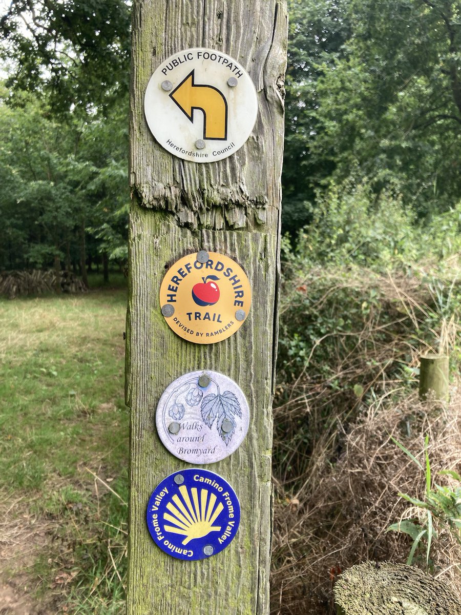 TakasakiAndy's tweet photo. Another route ticked off on the #HerefordshireTrail today, Edwin Ralf to Fromes Hill. Lots of hops on display (which made me badly want to drink a good IPA), also maize, grapes and a 1940's Russian tank . 11 routes down, just 4 more to go. #FollowTheApple https://t.co/N2JmhSFeYd