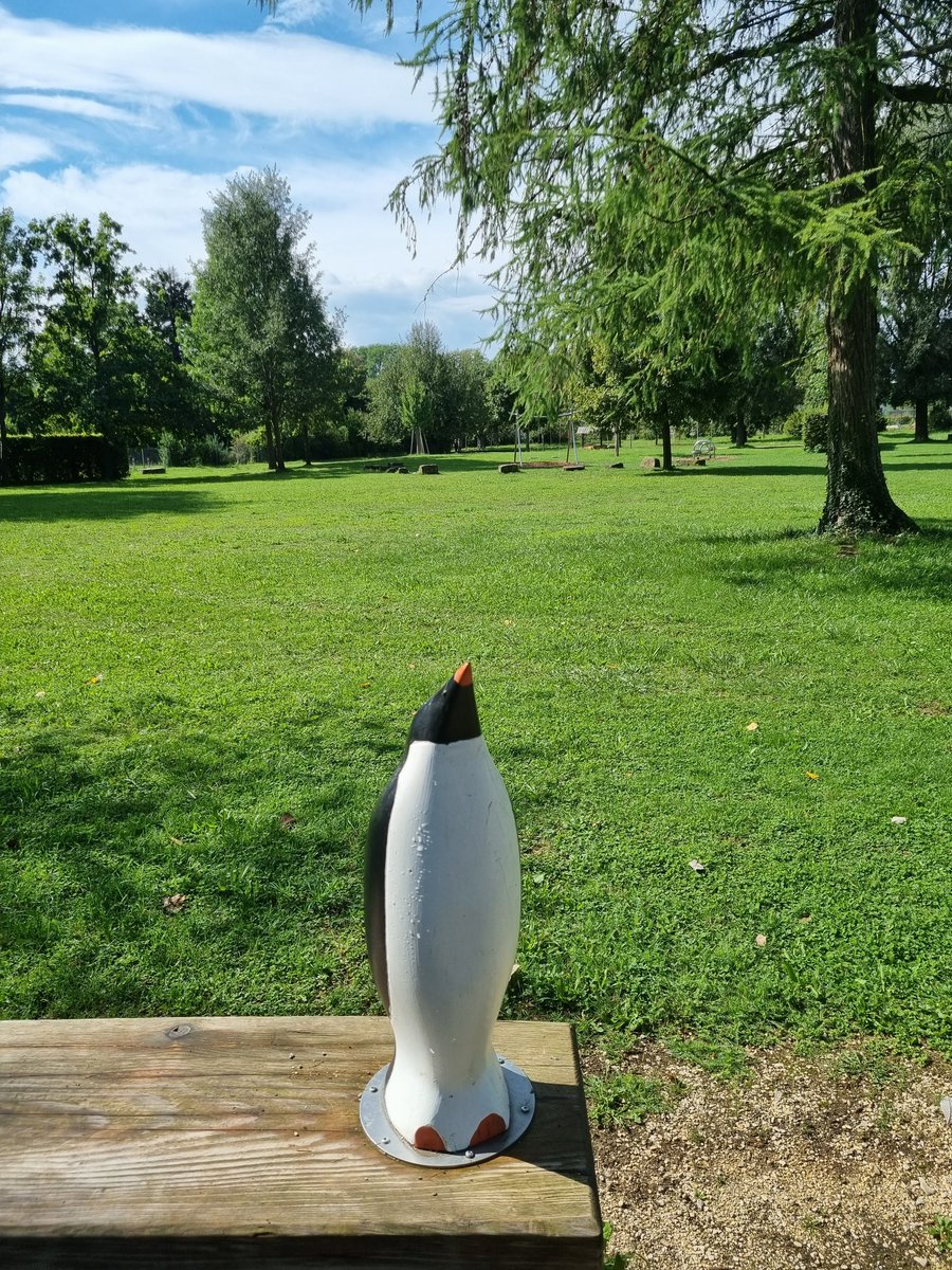 Manuela Lipak (@manuela_lipak) on Twitter photo 