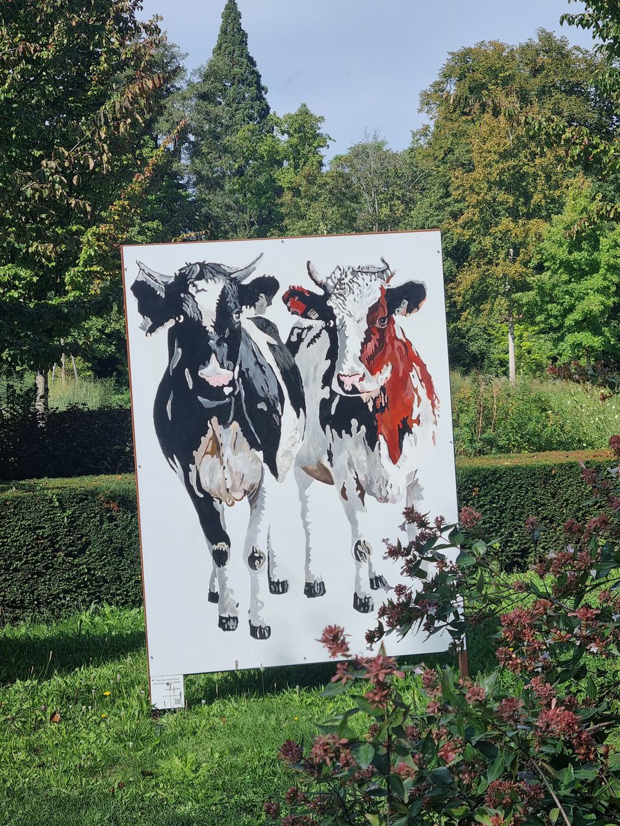 Manuela Lipak (@manuela_lipak) on Twitter photo 