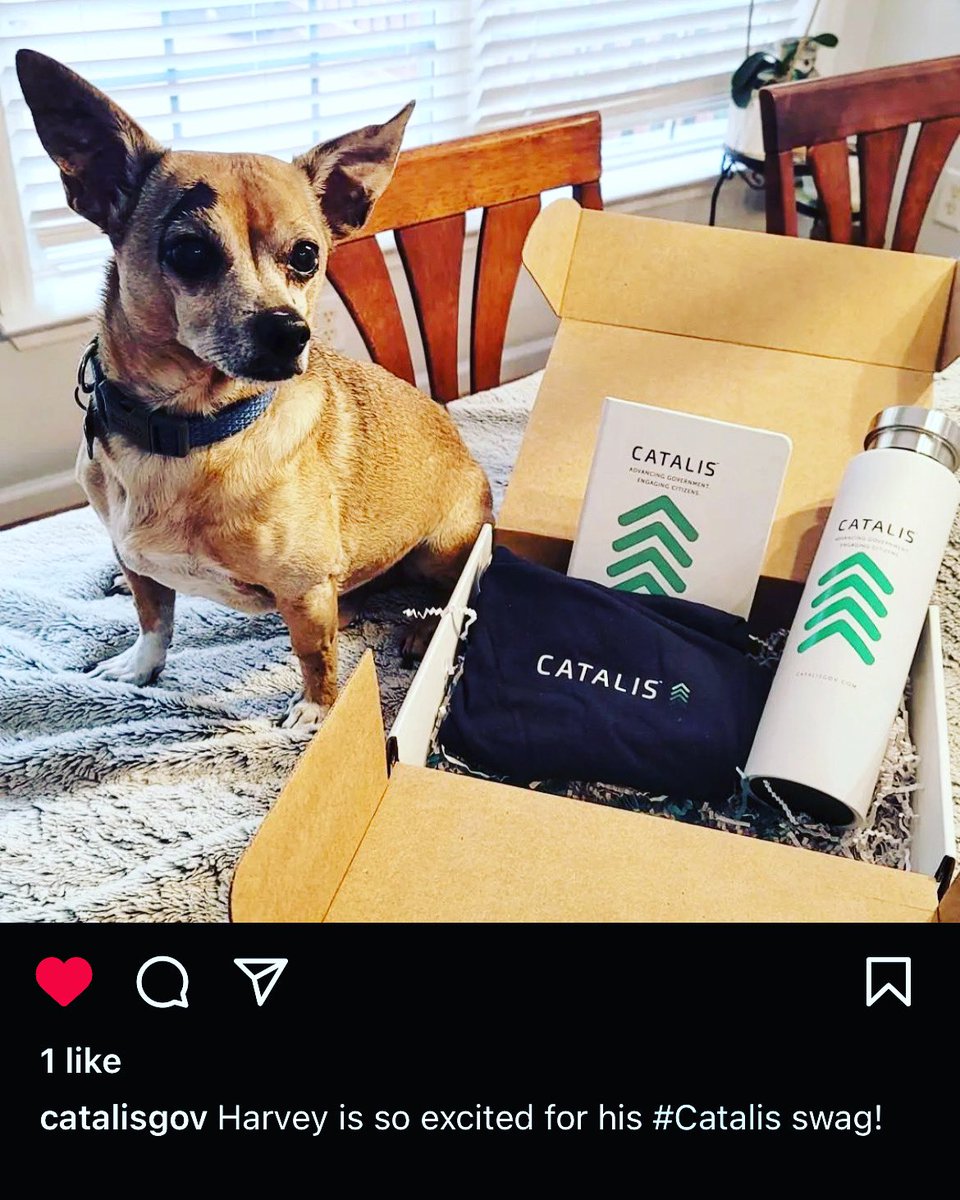 BrandThisStuff's tweet photo. Seeing our clients happy with their projects is the best reward! @catalisgov #brandthisstuff #swagboxes #projects #clientgifts #catalisgov #brandwhat #custom #gifts https://t.co/7AfAgDru9L