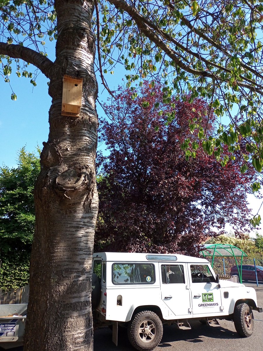 GreenwaysProj's tweet photo. Yesterday's work at The Beeches Community Primary school, Whitton - completing the vegetable garden, and putting up bird and bug boxes around the grounds. @IpswichGov @WildIpswich #volunteers #schoolwildlife #localtimber #birdbox #bugbox #wildlifehomes https://t.co/7BsTYKg6DO
