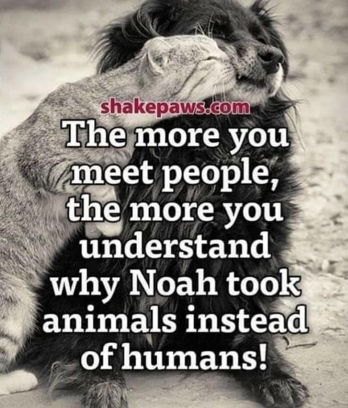 Julesk23's tweet photo. #NoahsArk #AnimalsFirst https://t.co/Fmx49x7mXG