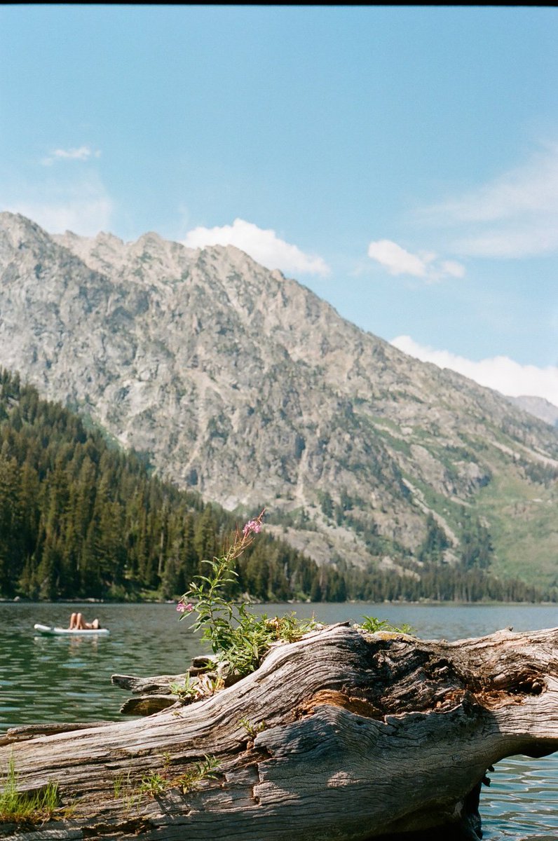 Tetons on film