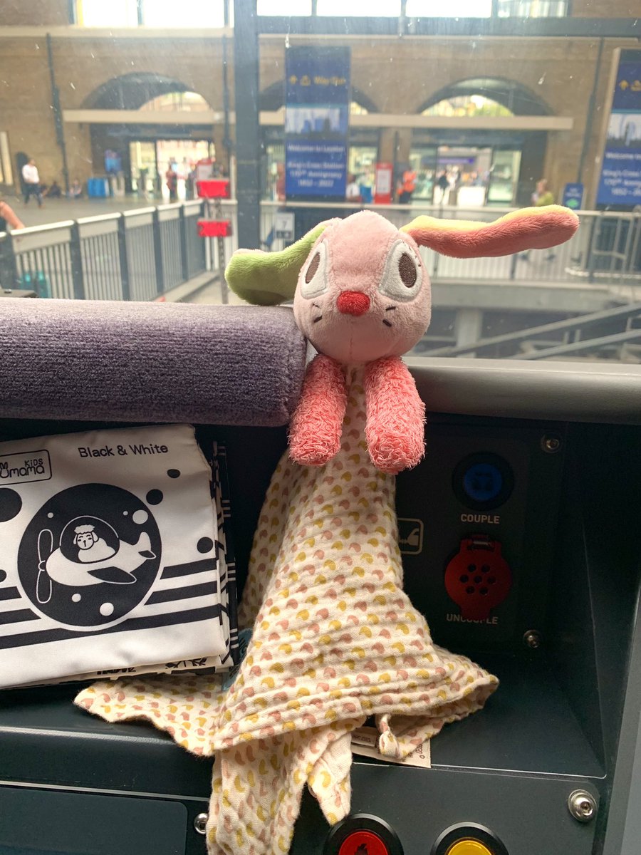 andvic1583's tweet photo. Were you travelling on the @LNER 07.55 from Inverness to Kings Cross service in coach L today? It looks like one of your group didn’t get off the train in London. https://t.co/igC8tKOM84