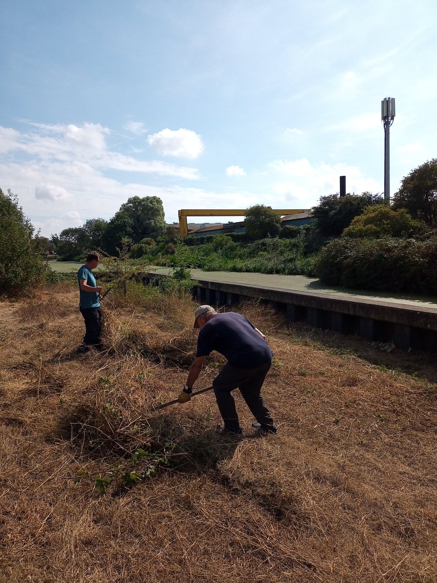 GreenwaysProj's tweet photo. This morning's River work party, at Boss Hall on the Gipping. Mowing & raking the wildflower grassland areas & sections of river bank, to improve wildlife diversity. Plus inevitable litter and shopping trolley pulled from the river! @IpswichGov @WildIpswich #volunteers #gipping https://t.co/uleeUcY8fK