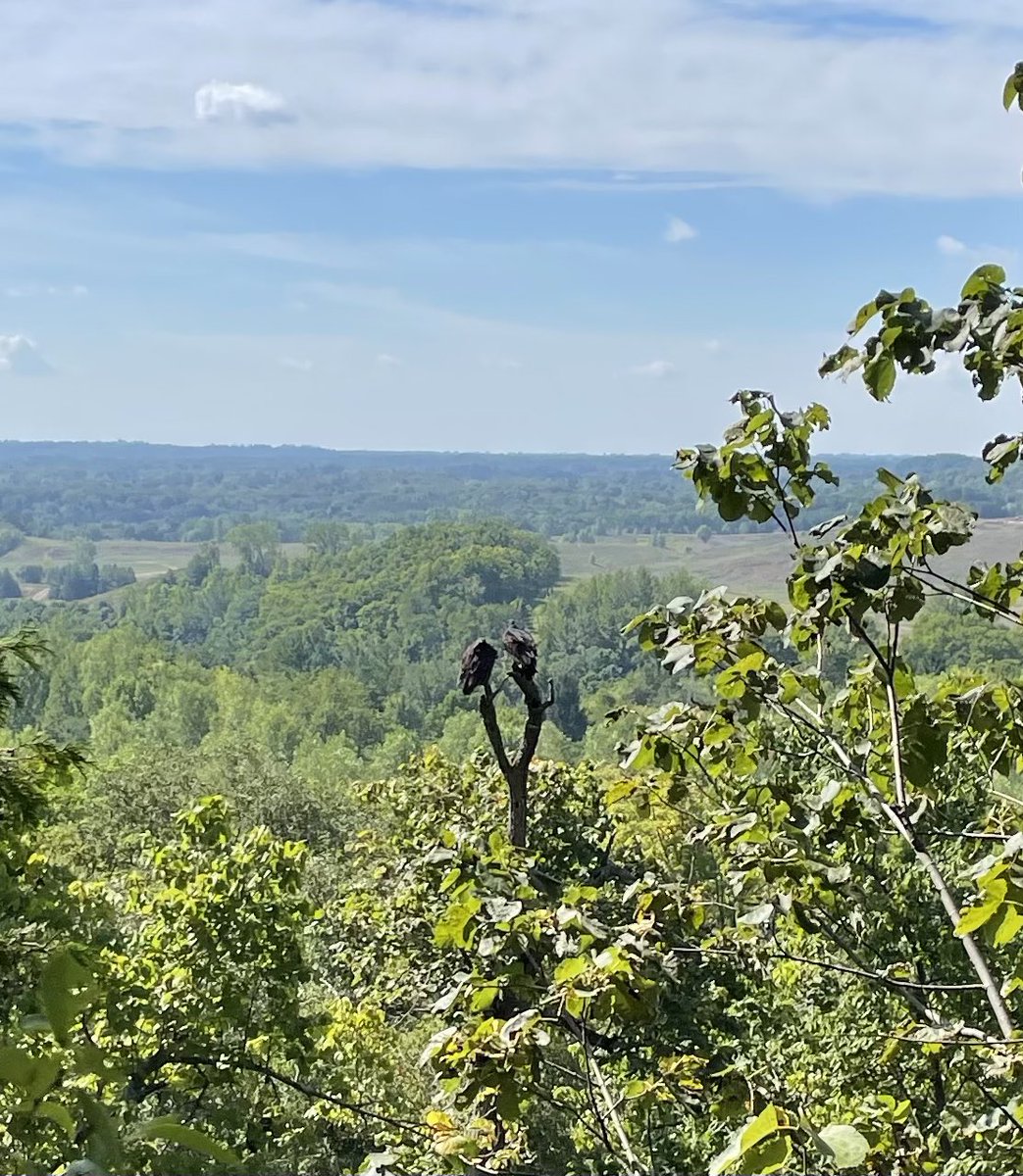 CostinAntonescu's tweet photo. Great way to start off the weekend by taking the 🐶s and kids to #rattlesnakepoint to see some turkey vultures! https://t.co/DkEn5vIr1e