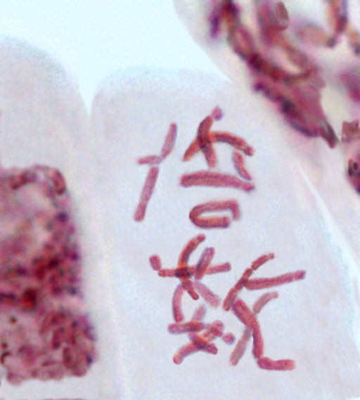 Toshiaki Tameshige tweet media