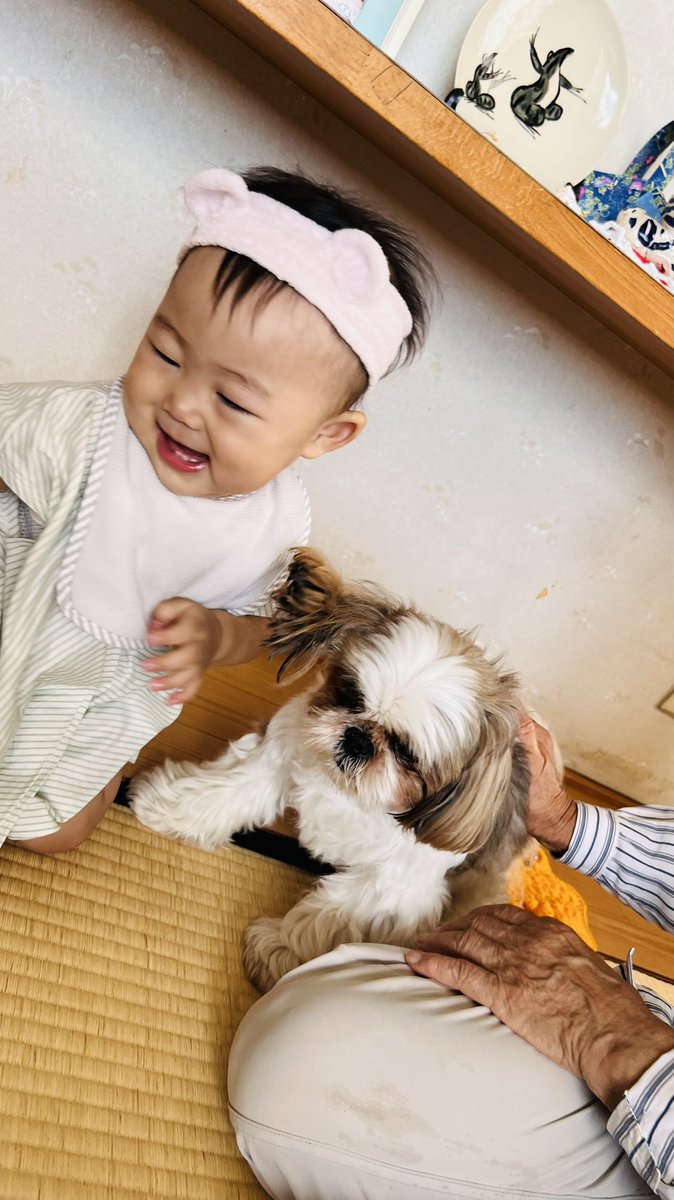 Choko_ku's tweet photo. 赤ちゃん👶🏻×犬🐶  🤍🤍🤍 https://t.co/KPvKud8D8P