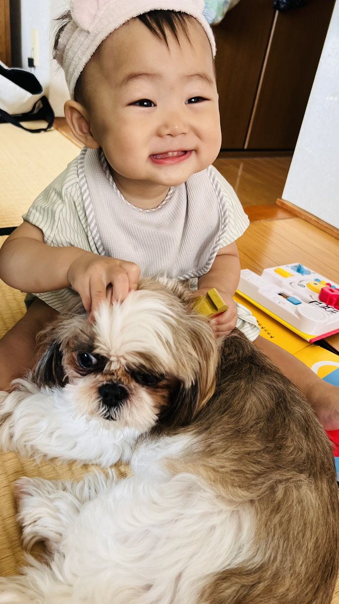 Choko_ku's tweet photo. 赤ちゃん👶🏻×犬🐶  🤍🤍🤍 https://t.co/KPvKud8D8P