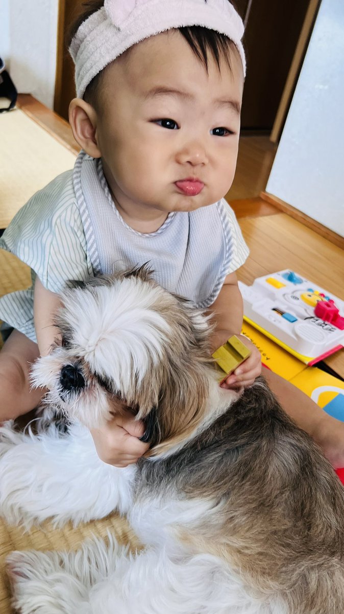 Choko_ku's tweet photo. 赤ちゃん👶🏻×犬🐶  🤍🤍🤍 https://t.co/KPvKud8D8P