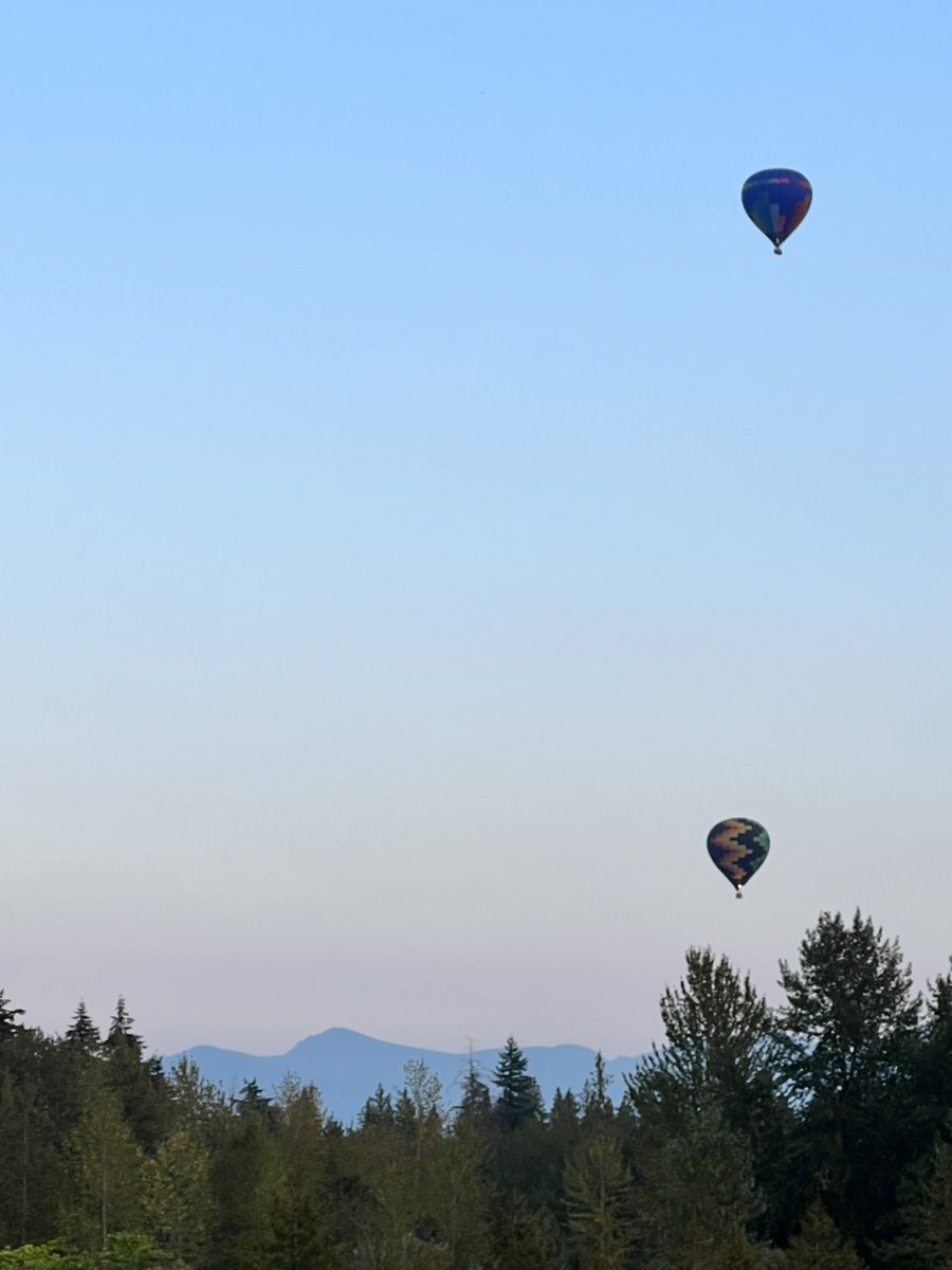 Pacific Abstraction tweet media