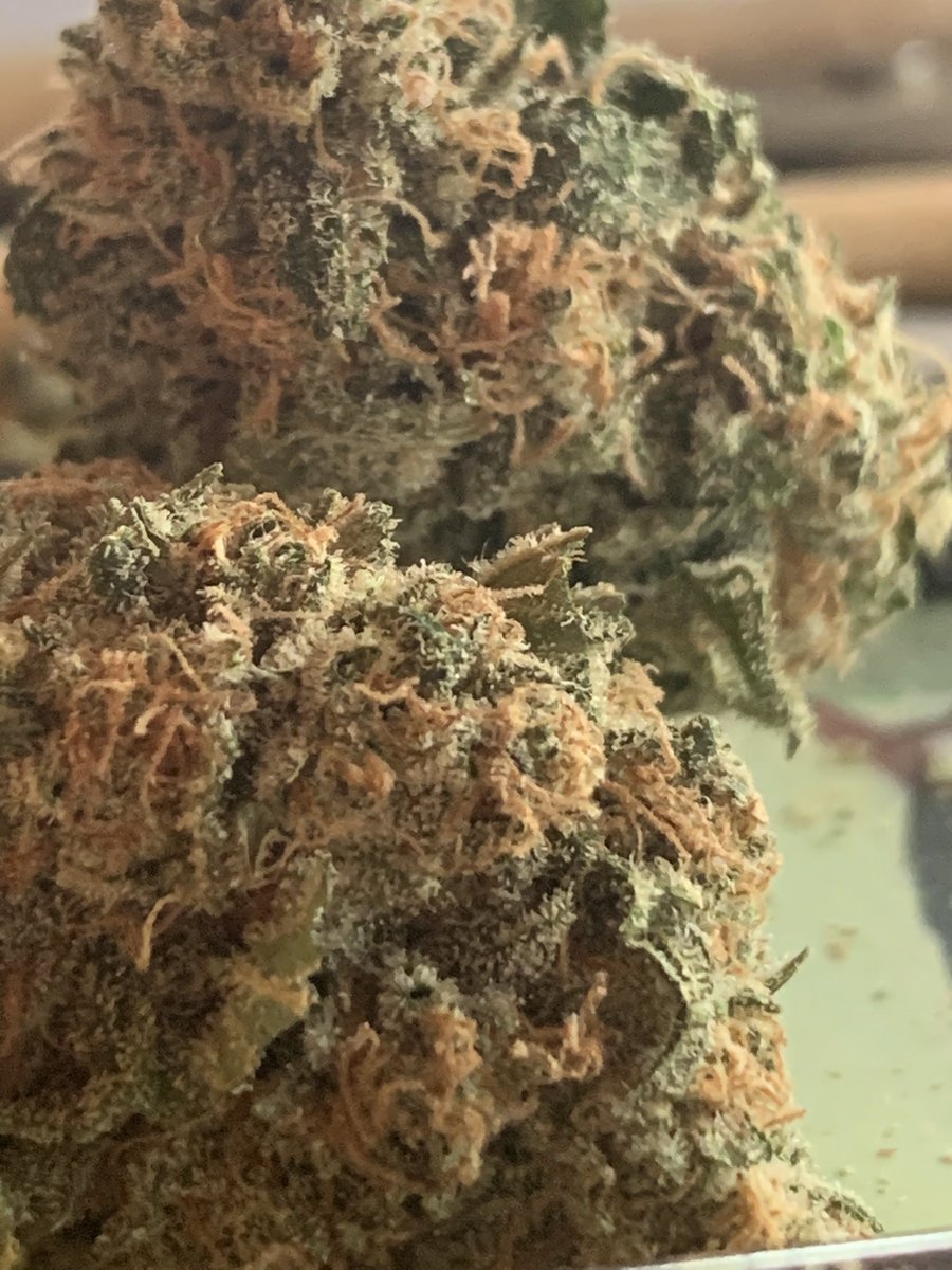 bud_report's tweet photo. The beauty of hand trimmed bud π #CannabisCommunity #beautifulbuds #handsongrowing https://t.co/Ri5mdaKigY