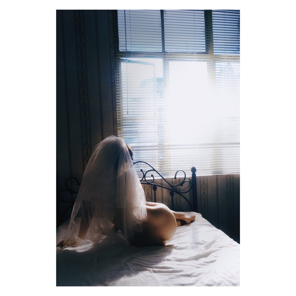 算是一张原图，1/4的黑柔。
刚吃了药，昏昏沉沉。
晚安诸位。 https://t.co/cFHPoFJyOh