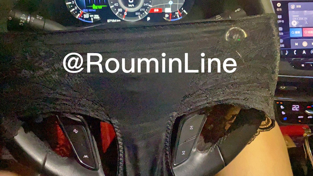 RouminLine's tweet photo. 新方向盘套 https://t.co/0Lk7LqFGNy