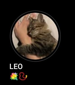 SangWon234's tweet photo. WHAT!? HIS PROFILE IS SO FREAKING CUTE THAT I WANNA THROW SOME PLATES NAD CRACK THEM 😭😭😭😭😭 https://t.co/gcJaJALDJ0