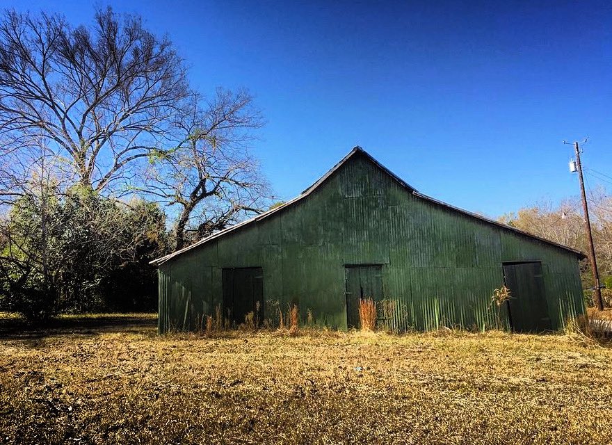 missippilive's tweet photo. #greenbarn in #newbern #alabama while I was at @RuralStudio - circa 2007
#williamchristenberry photographed this barn a lot
#photography #photographylovers #southern #photographer #photooftheday #retweet #rt #loveyall ❤️ https://t.co/B7WungEihN