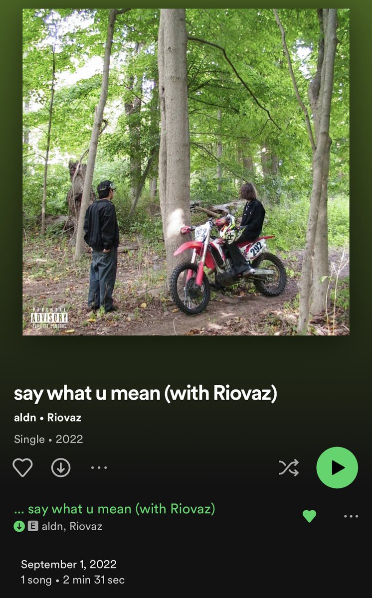 connn666's tweet photo. SONG OF THE DAY - "say what u mean (with Riovaz)" by #aldn
#hyperpop #songoftheday https://t.co/uEOpyJ1E5V