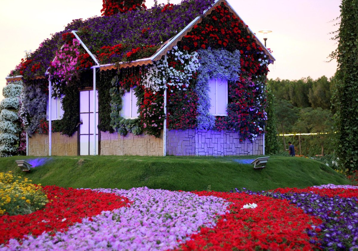 toptravelhelper's tweet photo. dubai Miracle Garden.
#toptravelhelpers #toptravelhelper
#travelhelper 
#travel #traveltips #adventure https://t.co/GC3BvNAOqC