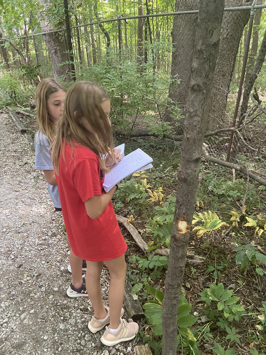 Mrs_Speidel's tweet photo. Mother Nature gave us another beautiful day to explore Weaver Woods.🍃
#MakingObservations 
#ScientificMethod https://t.co/duYsxtgrAo