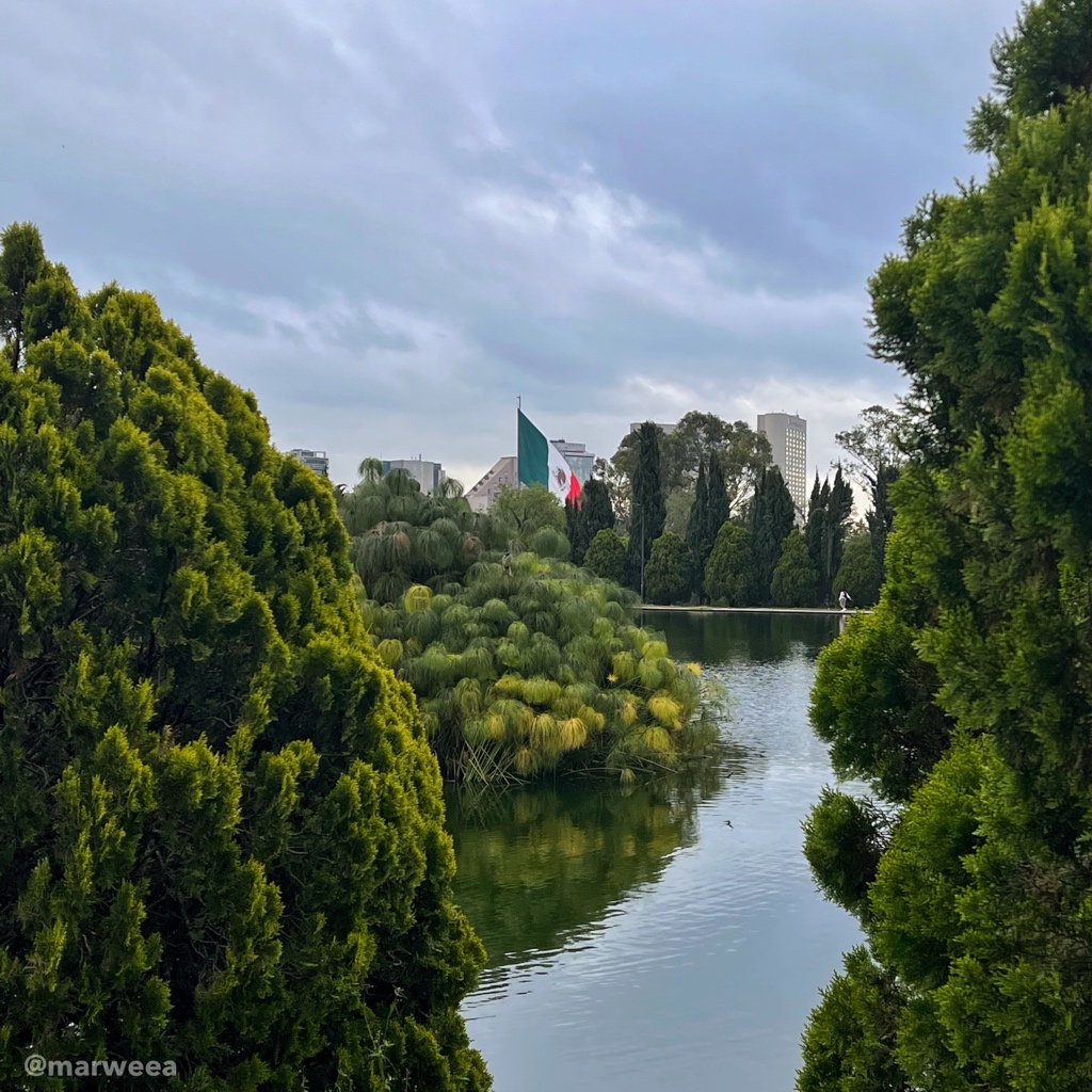 marweea's tweet image. De la serie #LoQueVeoMientrasCorro 🏃🏾‍♀️
“Mente sana en cuerpo sano”