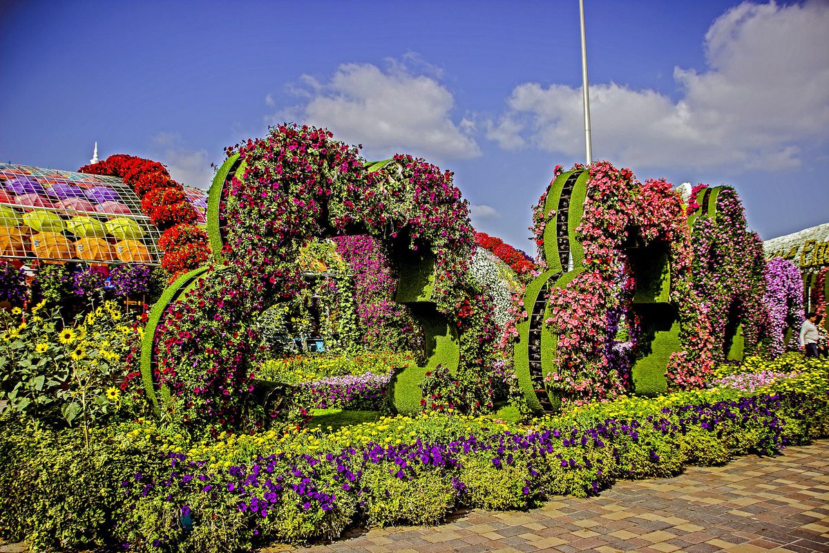 toptravelhelper's tweet photo. dubai Miracle Garden.
#toptravelhelpers #toptravelhelper
#travelhelper 
#travel #traveltips #adventure https://t.co/GC3BvNAOqC