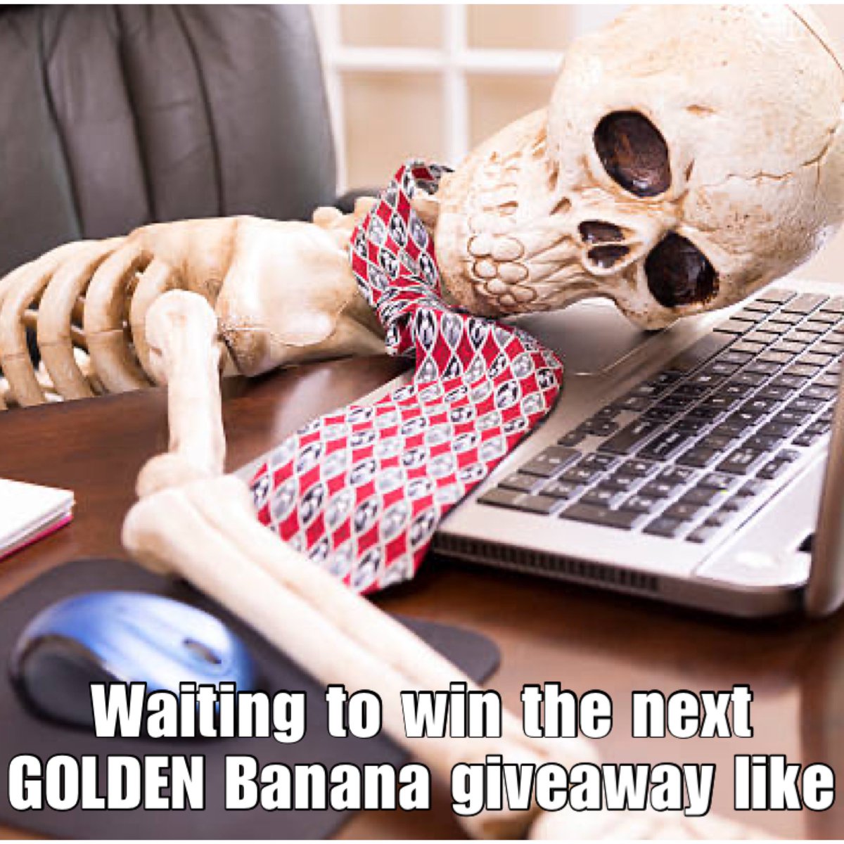 ghostalexc's tweet photo. @KOAAnft Ima waiting #NFT #NFTCommunity #NFTGiveaways #LRC #GME 
awcolantone.loopring.eth https://t.co/q75ALK8Hhs
