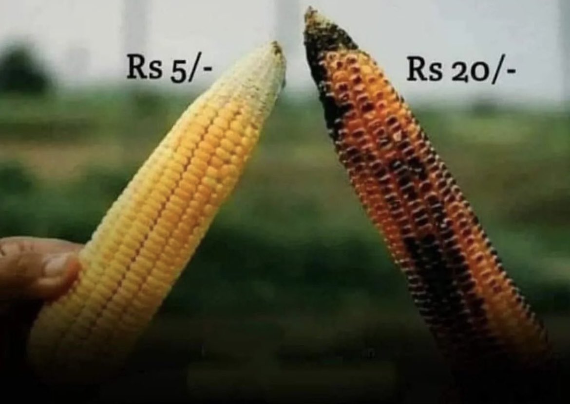 PuneetSingh84's tweet image. You have to burn yourself,

to get the best version of yourself.