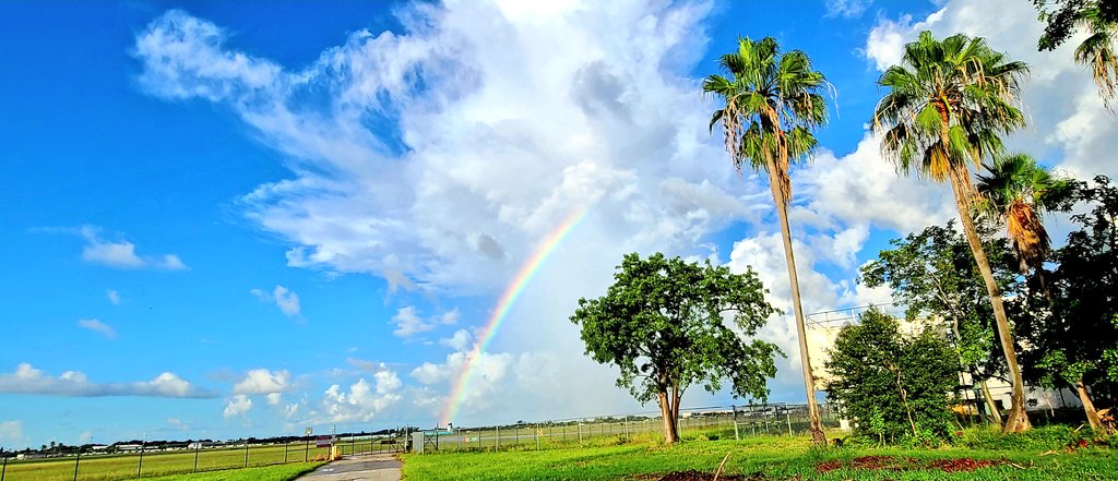 GessnerREAgent's tweet image. 🌈🌈🌈🌈 #followthepinkcar Happy Saturday Y'all 😊 #pembrokepines #rainbows #tastetherainbow @BCSouthCampus #bcsouth