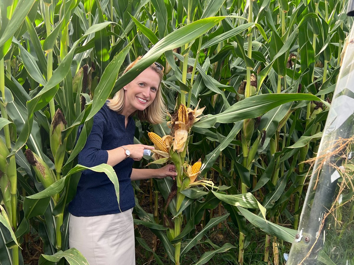 Brooke Lierman tweet media