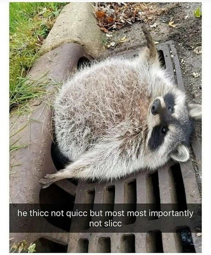 WholesomeMeme's tweet photo. https://t.co/NDUzdldfae