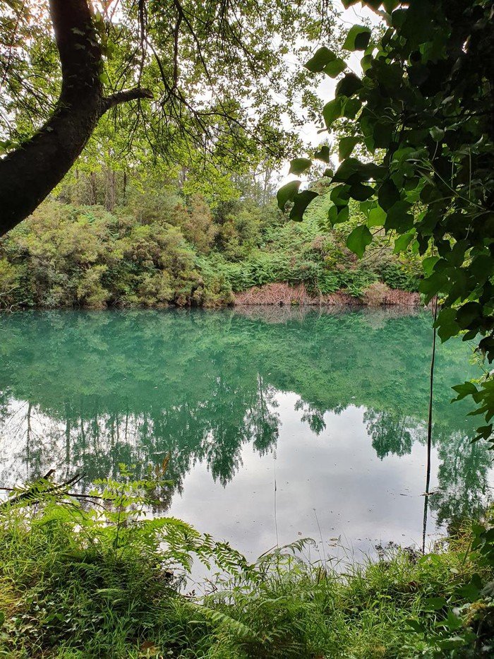 AtlanticaBeira's tweet photo. #SwampSunday
According to a local legend, the overflowing of the Pozo Limideiro (a pond which may be the remains of a Roman-era mining operation) flooded the ancient town of #Brandomil, making it disappear under the waters. https://t.co/RNy5XrNvX9