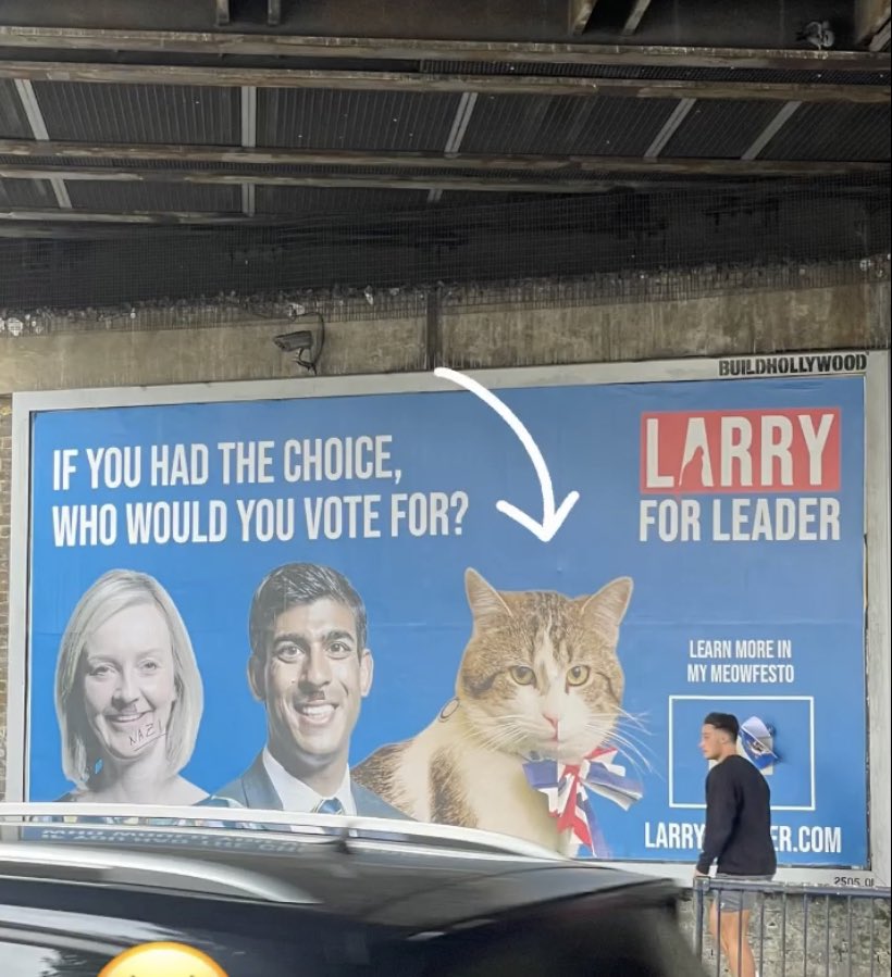 jackhardwick93's tweet photo. I predict a landslide @Number10cat 😏 https://t.co/Qx3gJbBNr5