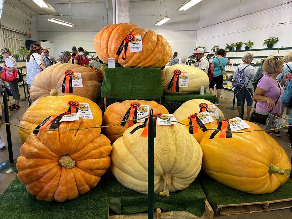 I keep taking a break from Twitter. Once again I’m back-for connection, beauty, quirk. Here’s some giant pumpkins for you 😄#MnstateFair2022 #pumpkins  #MNStateFair