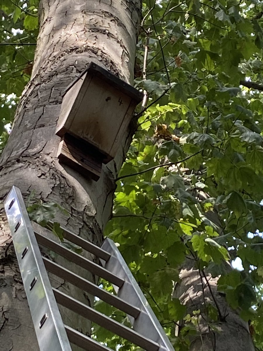 Nick Tribe tweet media