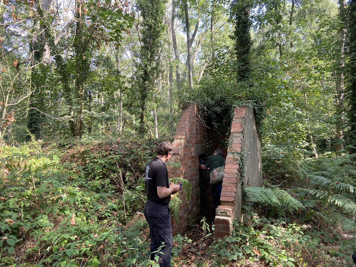 Nick Tribe tweet media