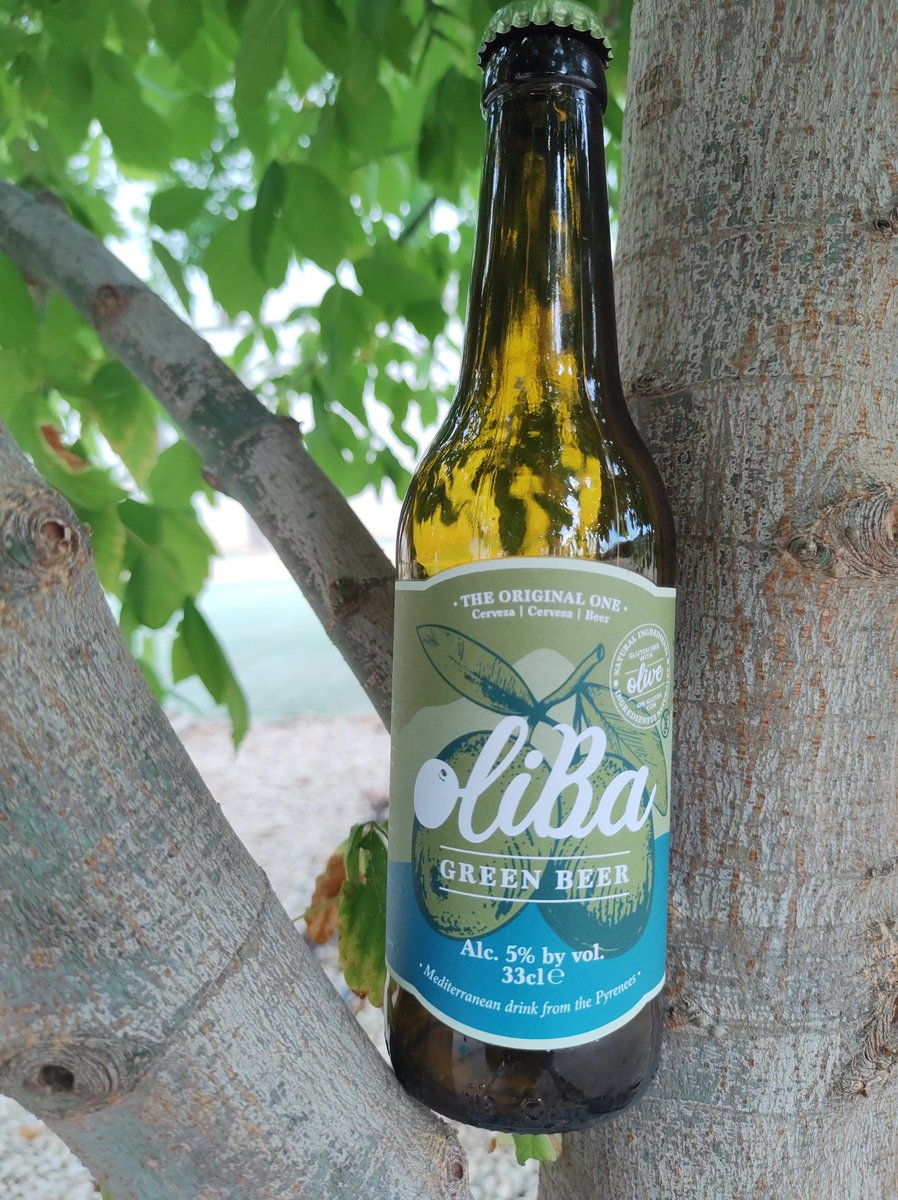 Cerveza artesana @origen_oliva elaborada siguiendo el estilo Bohemian Pilsner

Cerveza muy original que tiene como ingrediente principal la aceituna.

Salud🍻!

#rutabeer #origenoliva #craftbeer #naturbeer #naturcerveza #botellin #aceituna #oliva #olivagreenbeer #green