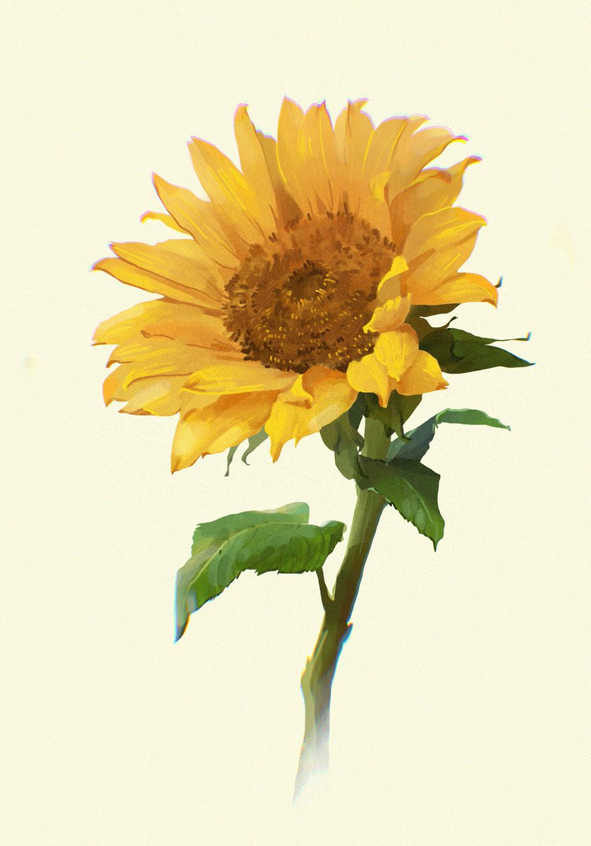 み〜や tweet media