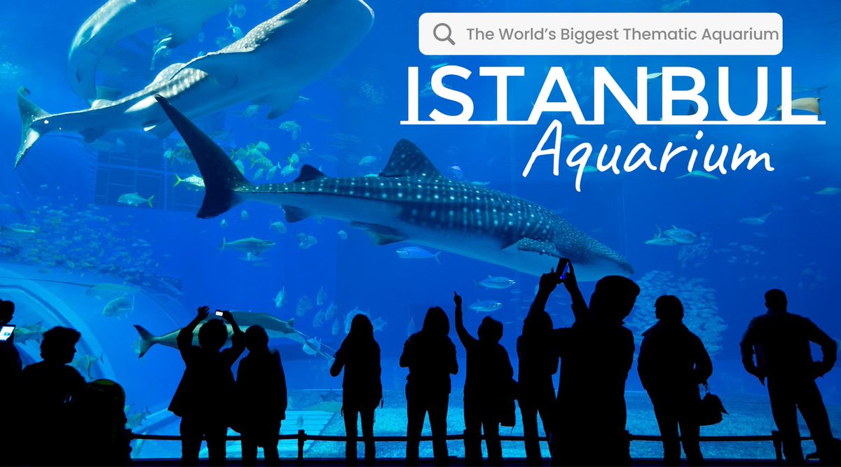Kusdaniva's tweet photo. Istanbul Akvaryum Florya (Thematic Aquarium Turkey) https://t.co/cgEXaojHrZ via @YouTube https://t.co/90piGhnTjW
