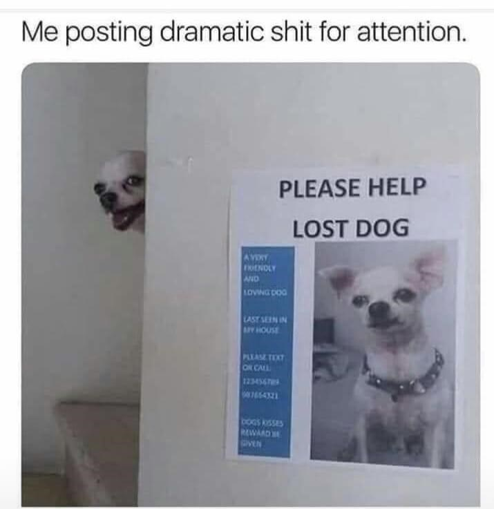 WholesomeMeme's tweet photo. https://t.co/7s0bnnHfBj