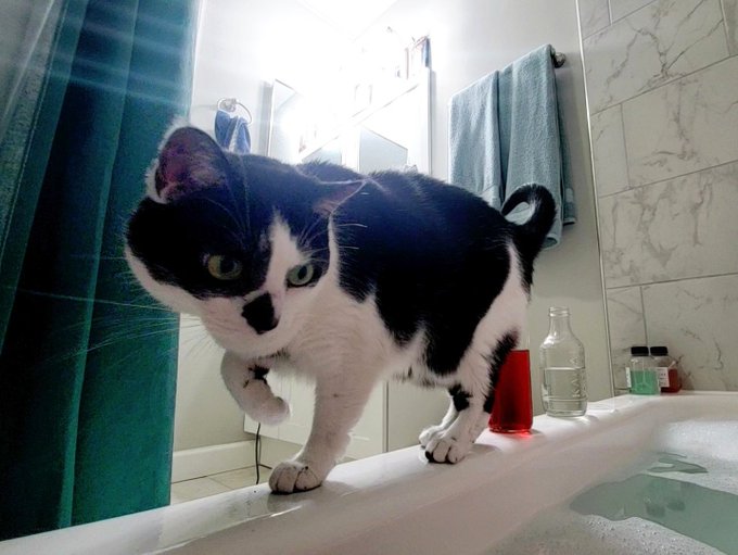 My cat passed away 2 days ago. She has been a part of my life since I was 15. I'm so tired of being sad<a href="/tag/fetish"class="tags"><span>#fetish</span></a><a href="/tag/pornhub"class="tags"><span>#pornhub</span></a><a href="/tag/bondage"class="tags"><span>#bondage</span></a>