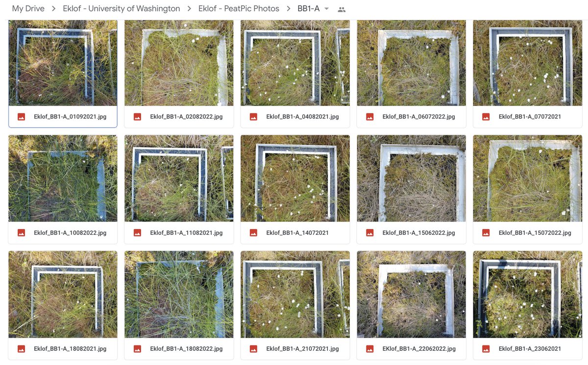 Dr Scott J. Davidson tweet media