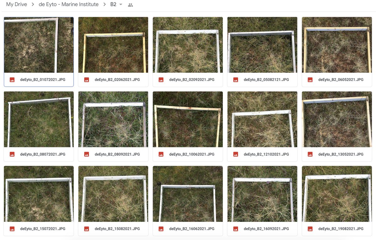 Dr Scott J. Davidson tweet media