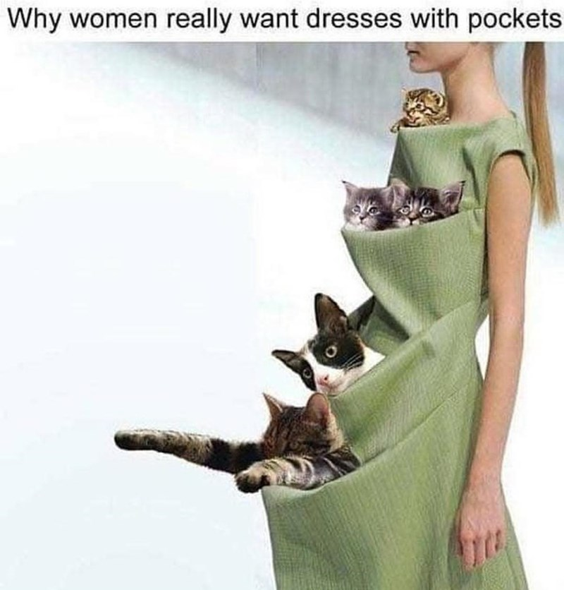WholesomeMemes tweet media
