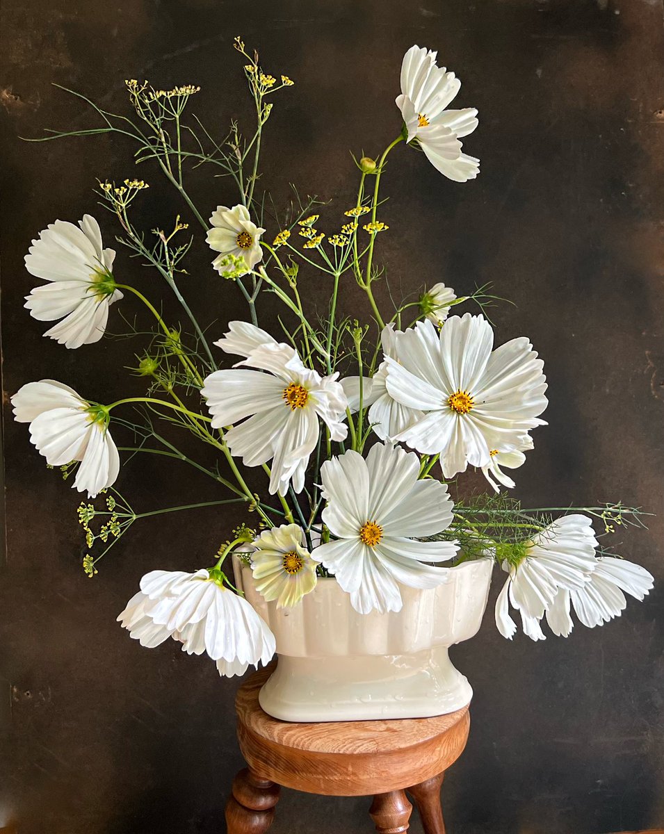 Simply #Hampton garden flowers, grown from seed, arranged and delivered locally. #Teddington #Twickenham #TheHamptons #EastMolesey 

#grownnotflown #britishflowers #foamfree