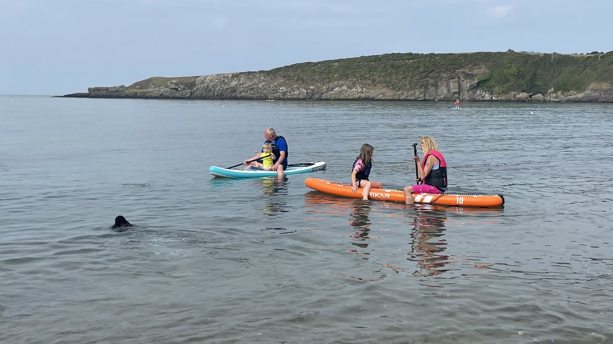RoseCottage_'s tweet photo. It’s a paddle boarding kind of day at Cemaes Bay #paddleboarding #Anglesey #lovinglife #livingmybestlife #beach #beachvibes https://t.co/B5JlLOFIKx