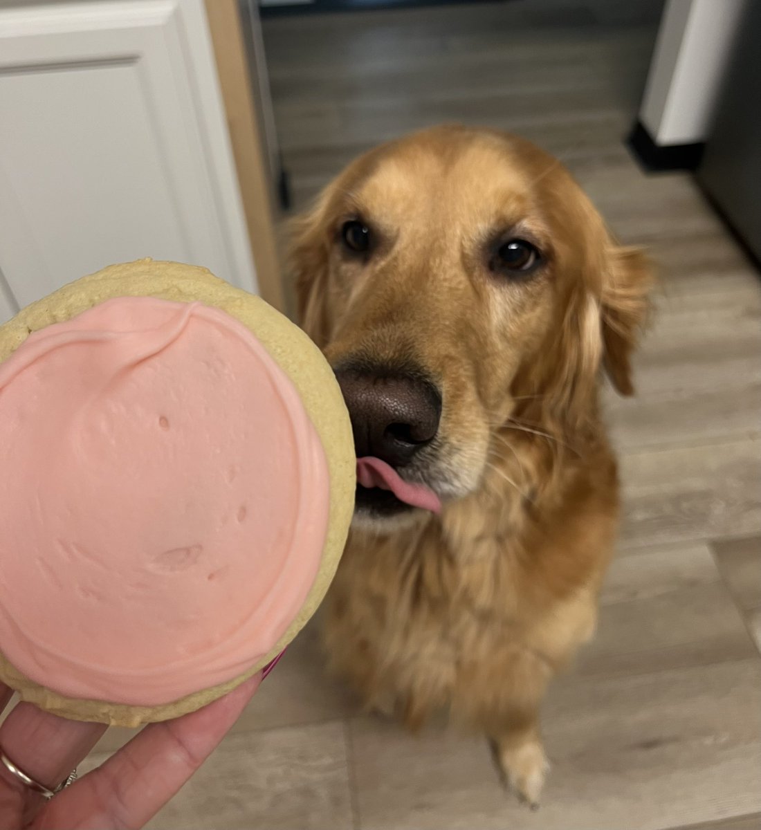 HaileyLeisten's tweet photo. @CrumblCookies 💗👅 https://t.co/MKdjJ5VaoF