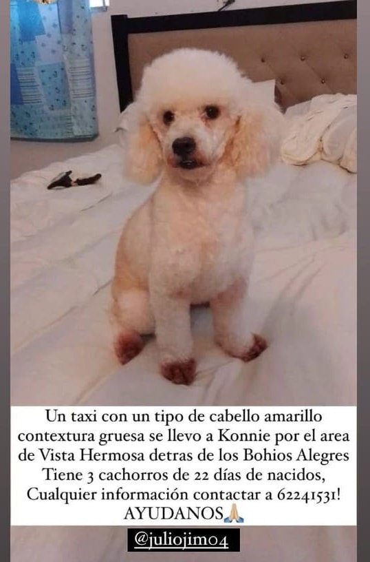 ツ↓★ Giuseppe ★↑ツ 🇵🇦🇵🇹🇨🇴🇳🇬 tweet media