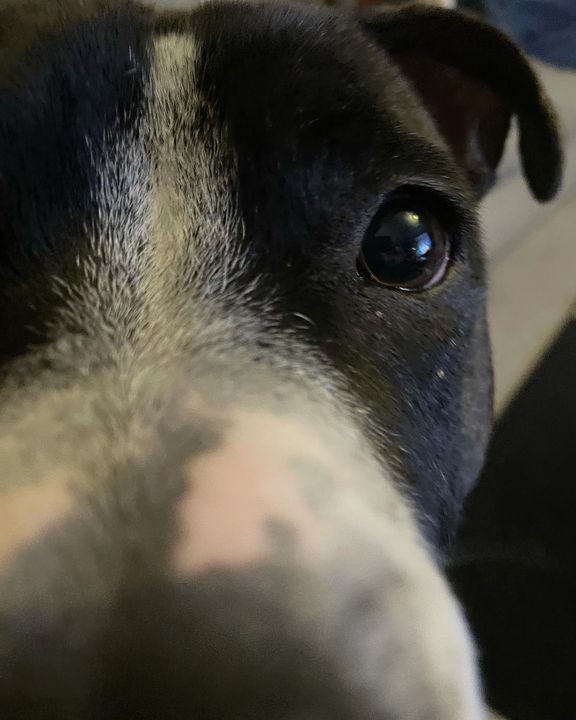 “I see you have biscuits. I too like biscuits…”